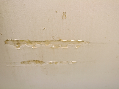 Repair drywall